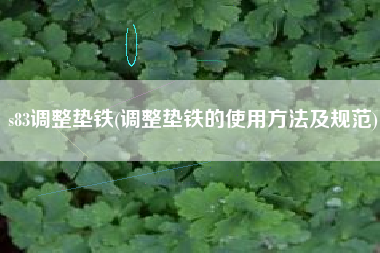 s83<a href='http://www.gyuer.cn/jichuangdiantiexilie/' target='_blank' title='調(diào)整墊鐵' ><strong>調(diào)整墊鐵</strong></a>(調(diào)整墊鐵的使用方法及規(guī)范)